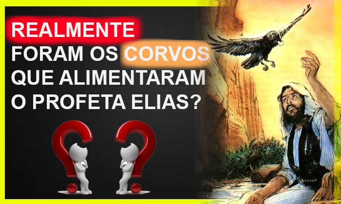 Quem Foi Que Alimentou O Profeta Elias Corvos Ou Rabes